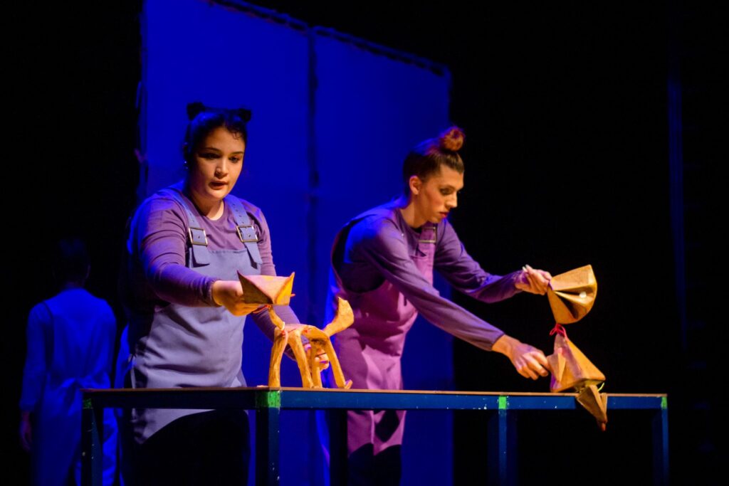 Cia de teatro de Itajaí em festivais nacionais